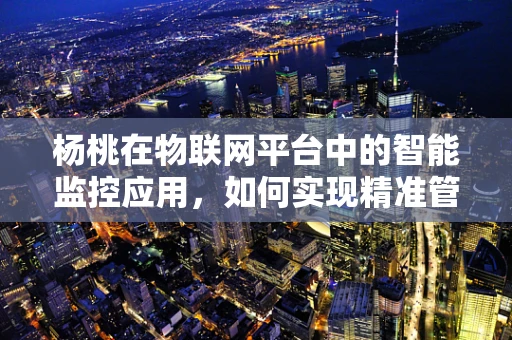 杨桃在物联网平台中的智能监控应用，如何实现精准管理与优化？