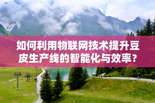 如何利用物联网技术提升豆皮生产线的智能化与效率？