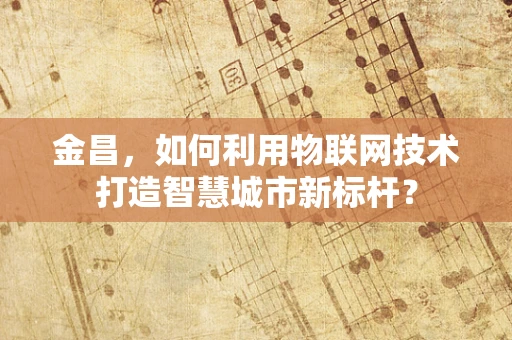 金昌，如何利用物联网技术打造智慧城市新标杆？