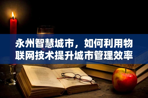 永州智慧城市，如何利用物联网技术提升城市管理效率？