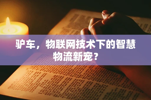 驴车，物联网技术下的智慧物流新宠？