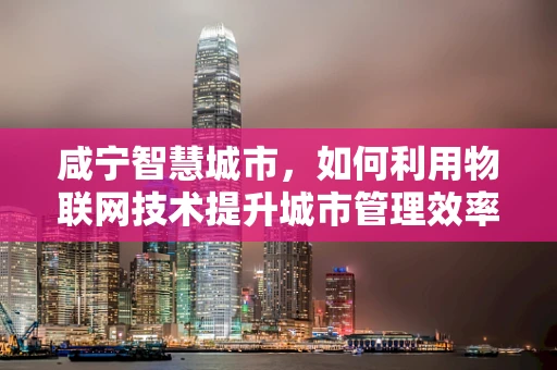 咸宁智慧城市，如何利用物联网技术提升城市管理效率？