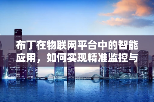 布丁在物联网平台中的智能应用，如何实现精准监控与个性化服务？