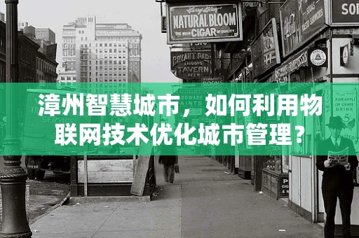 漳州智慧城市，如何利用物联网技术优化城市管理？