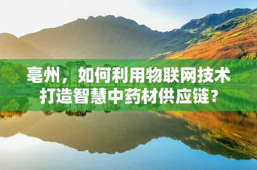 亳州，如何利用物联网技术打造智慧中药材供应链？