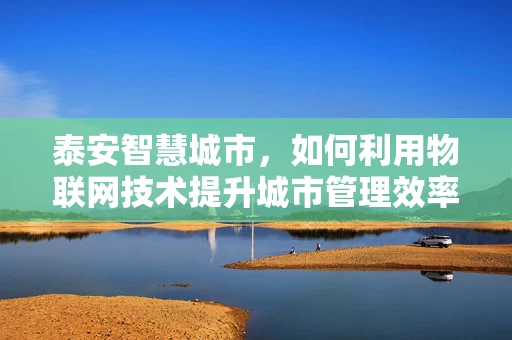 泰安智慧城市，如何利用物联网技术提升城市管理效率？