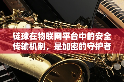 链球在物联网平台中的安全传输机制，是加密的守护者吗？