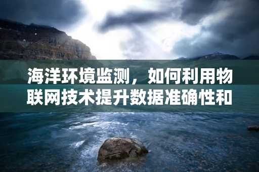 海洋环境监测，如何利用物联网技术提升数据准确性和实时性？