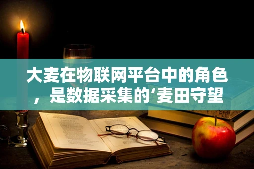 大麦在物联网平台中的角色，是数据采集的‘麦田守望者’吗？
