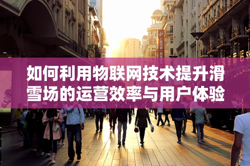 如何利用物联网技术提升滑雪场的运营效率与用户体验？