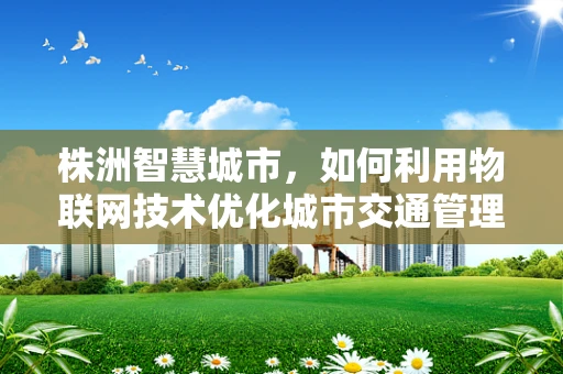 株洲智慧城市，如何利用物联网技术优化城市交通管理？