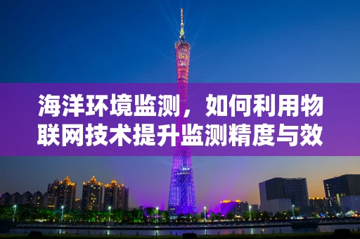 海洋环境监测，如何利用物联网技术提升监测精度与效率？