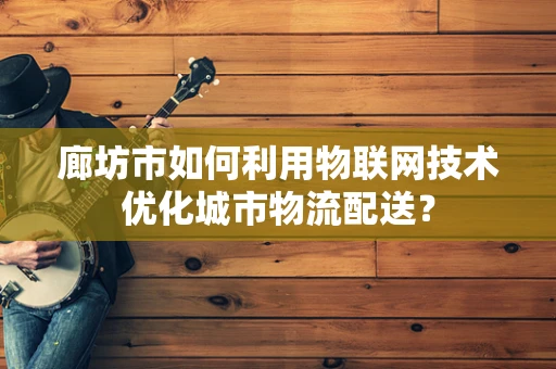 廊坊市如何利用物联网技术优化城市物流配送？