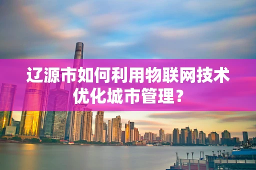 辽源市如何利用物联网技术优化城市管理？