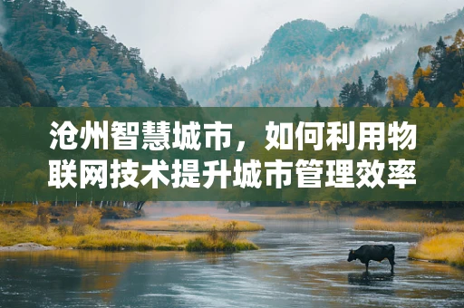 沧州智慧城市，如何利用物联网技术提升城市管理效率？