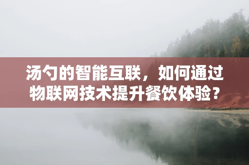 汤勺的智能互联，如何通过物联网技术提升餐饮体验？