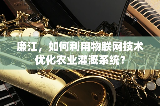 廉江，如何利用物联网技术优化农业灌溉系统？