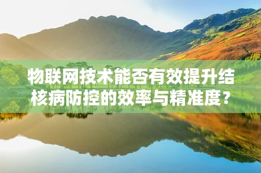 物联网技术能否有效提升结核病防控的效率与精准度？