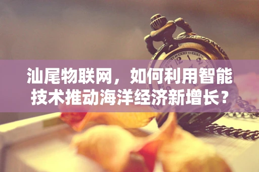 汕尾物联网，如何利用智能技术推动海洋经济新增长？
