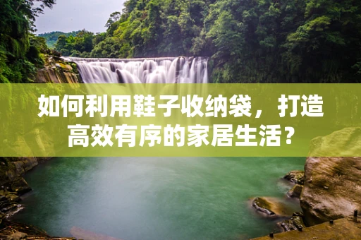 如何利用鞋子收纳袋，打造高效有序的家居生活？