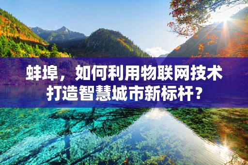 蚌埠，如何利用物联网技术打造智慧城市新标杆？