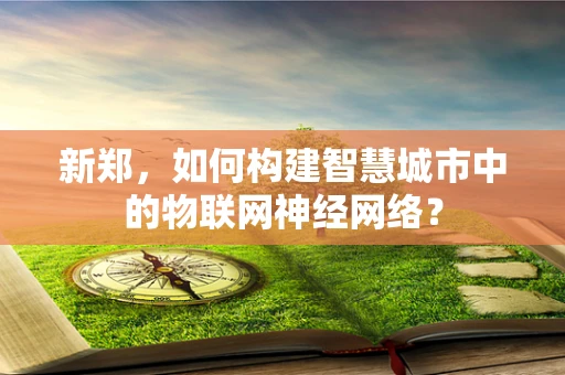 新郑，如何构建智慧城市中的物联网神经网络？