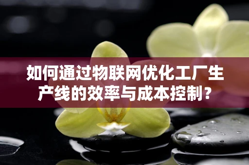 如何通过物联网优化工厂生产线的效率与成本控制？