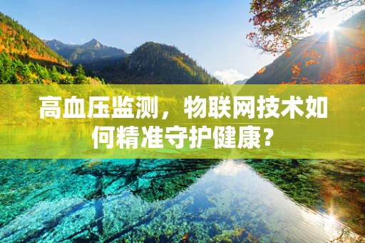 高血压监测，物联网技术如何精准守护健康？