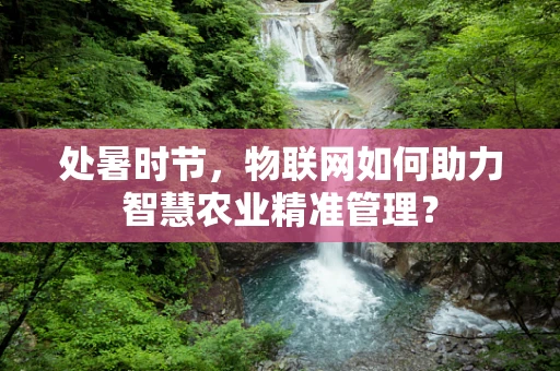 处暑时节，物联网如何助力智慧农业精准管理？