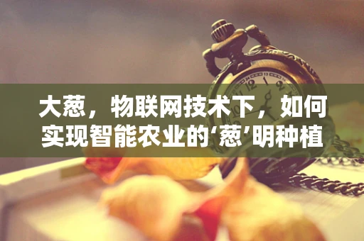 大葱，物联网技术下，如何实现智能农业的‘葱’明种植？