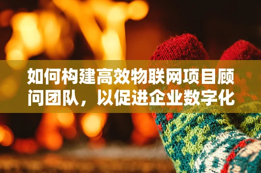 如何构建高效物联网项目顾问团队，以促进企业数字化转型？