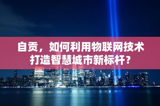 自贡，如何利用物联网技术打造智慧城市新标杆？