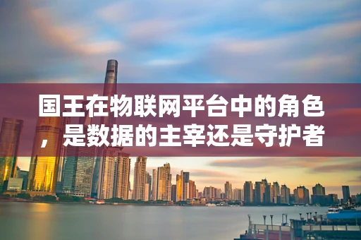 国王在物联网平台中的角色，是数据的主宰还是守护者？
