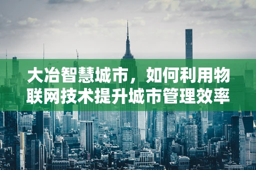 大冶智慧城市，如何利用物联网技术提升城市管理效率？