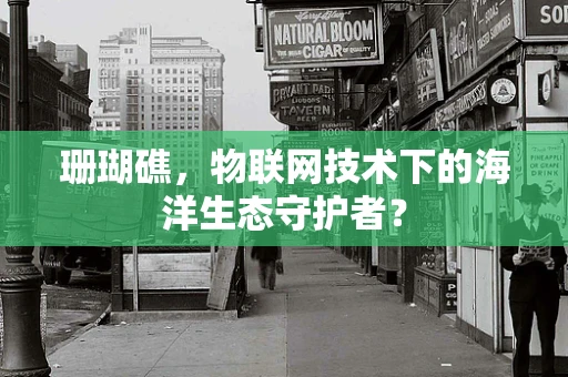 珊瑚礁，物联网技术下的海洋生态守护者？