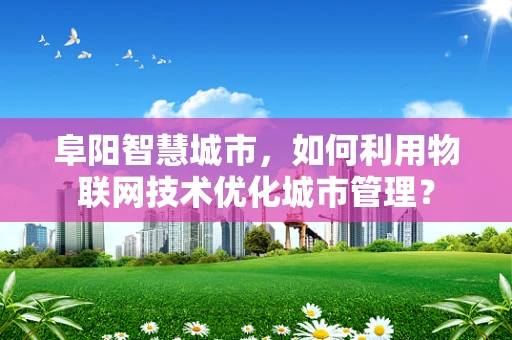 阜阳智慧城市，如何利用物联网技术优化城市管理？