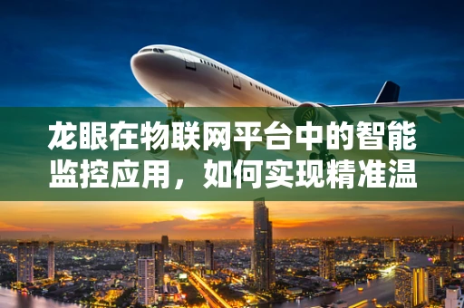 龙眼在物联网平台中的智能监控应用，如何实现精准温湿度管理？