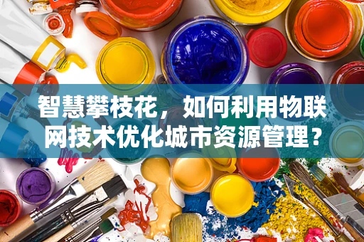 智慧攀枝花，如何利用物联网技术优化城市资源管理？