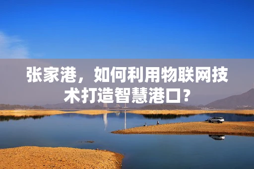 张家港，如何利用物联网技术打造智慧港口？