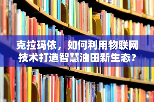 克拉玛依，如何利用物联网技术打造智慧油田新生态？