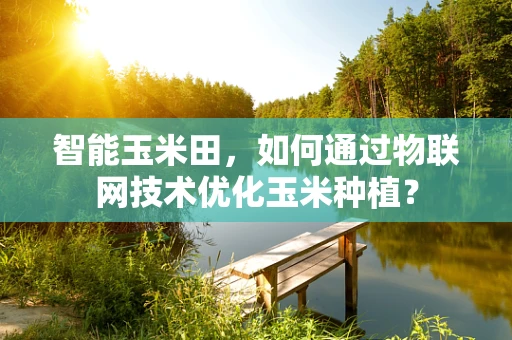 智能玉米田，如何通过物联网技术优化玉米种植？