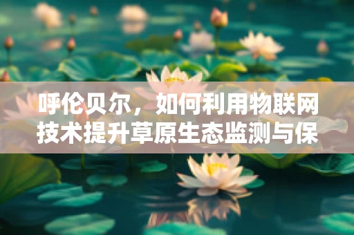 呼伦贝尔，如何利用物联网技术提升草原生态监测与保护？