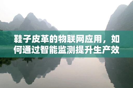 鞋子皮革的物联网应用，如何通过智能监测提升生产效率与质量？
