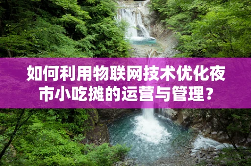如何利用物联网技术优化夜市小吃摊的运营与管理？