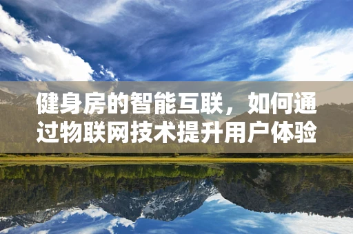 健身房的智能互联，如何通过物联网技术提升用户体验？