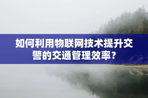 如何利用物联网技术提升交警的交通管理效率？