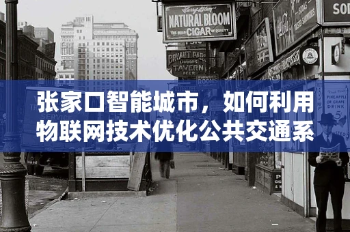 张家口智能城市，如何利用物联网技术优化公共交通系统？