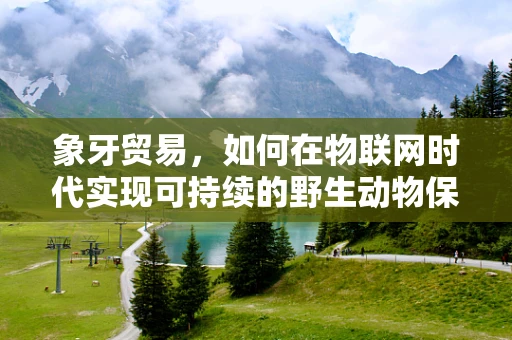 象牙贸易，如何在物联网时代实现可持续的野生动物保护？