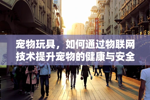 宠物玩具，如何通过物联网技术提升宠物的健康与安全？