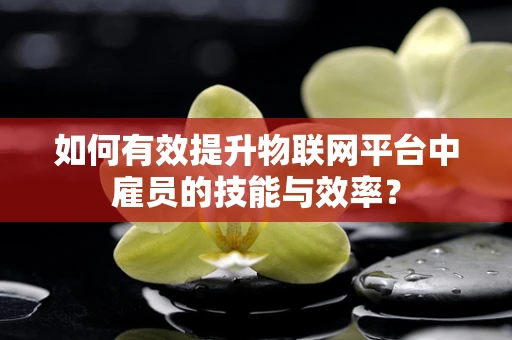 如何有效提升物联网平台中雇员的技能与效率？